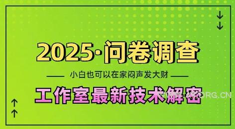2025问卷调查最新工作室技术解密:一个人在家也可以闷声发大财,小白一天2张,可矩阵放大【揭秘】