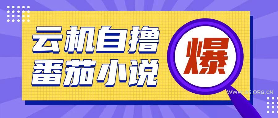 首发云手机自撸小说玩法，10块钱成本可撸200+收益操作简单【揭秘】