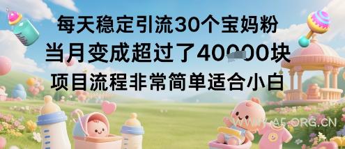 每天稳定引流30个宝妈粉当月变成超过了1W+项目流程非常简单适合小白