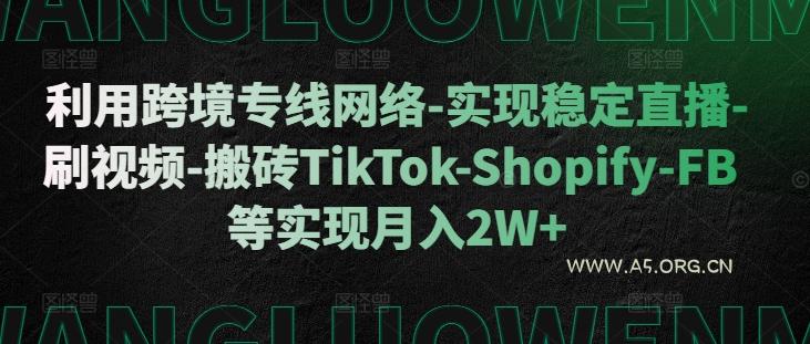 利用跨境专线网络-实现稳定直播-刷视频-搬砖TikTok-Shopify-FB等实现月入2W+【揭秘】