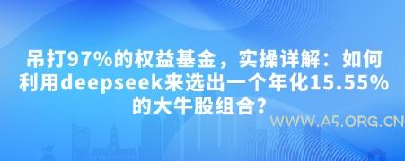 付费文章:吊打97%的权益基金,实操详解:如何利用deepseek来选出一个年化15.55%的大牛股组合?