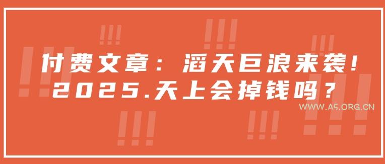 付费文章:滔天巨浪来袭!2025天上会掉钱吗?