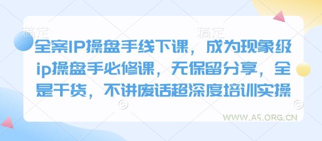 全案IP操盘手线下课,成为现象级ip操盘手必修课,无保留分享,全是干货,不讲废话超深度培训实操