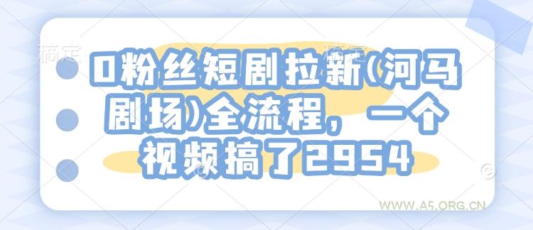 0粉丝短剧拉新(河马剧场)全流程，一个视频搞了2954