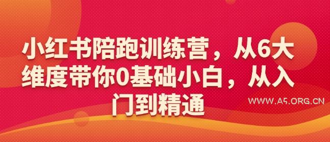 小红书陪跑训练营，从6大维度带你0基础小白，从入门到精通