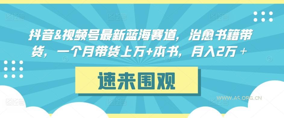 抖音&视频号最新蓝海赛道，治愈书籍带货，一个月带货上万+本书，月入2万＋【揭秘】