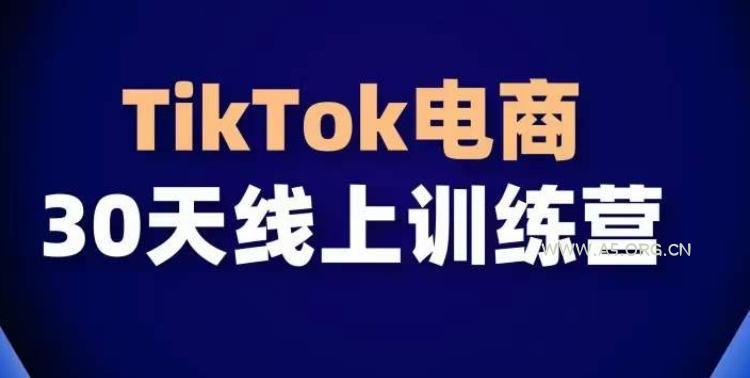 TikTok电商带货30天线上课，不可错过的全球流量洼地！