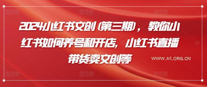 2024小红书文创(第三期)，教你小红书如何养号和开店，小红书直播带货卖文创等