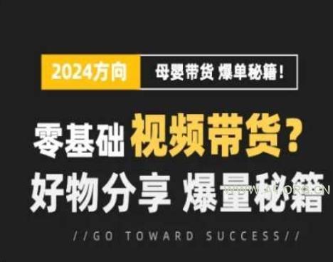 短视频母婴赛道实操流量训练营，零基础视频带货，好物分享，爆量秘籍