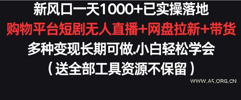 新风口一天1000+已实操落地购物平台短剧无人直播+网盘拉新+带货多种变现长期可做【揭秘】