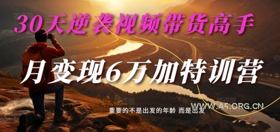 30天逆袭视频带货高手，单月变现6万加特训营-麦子甜