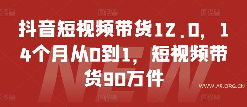 抖音短视频带货12.0,14个月从0到1,短视频带货90万件