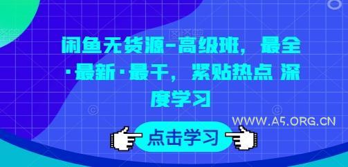 闲鱼无货源-高级班，最全·最新·最干，紧贴热点 深度学习