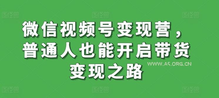 微信视频号变现营，普通人也能开启带货变现之路