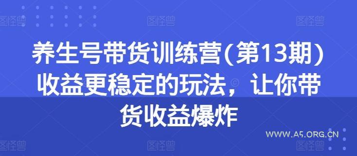 养生号带货训练营(第13期)收益更稳定的玩法，让你带货收益爆炸