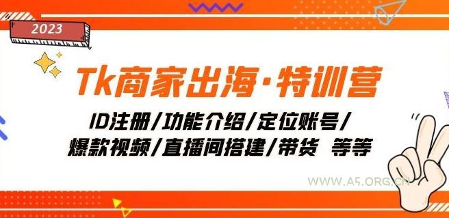 Tk商家出海·特训营：ID注册/功能介绍/定位账号/爆款视频/直播间搭建/带货