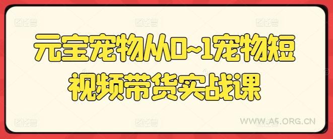 元宝宠物从0~1宠物短视频带货实战课