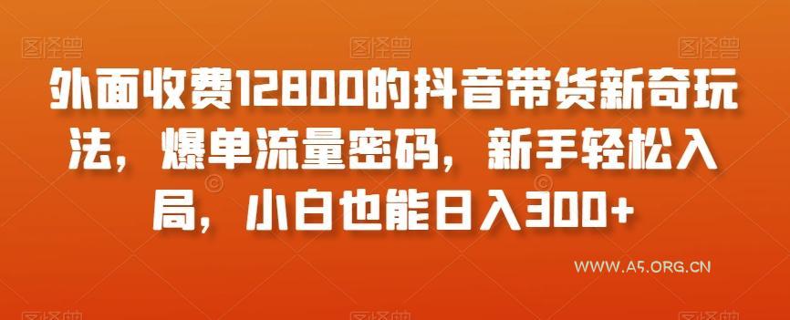 外面收费12800的抖音带货新奇玩法，爆单流量密码，新手轻松入局，小白也能日入300+【揭秘】