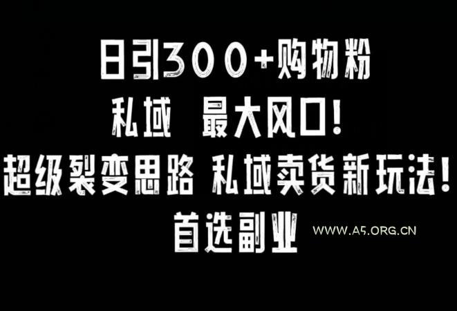 日引300+购物粉，超级裂变思路，私域卖货新玩法，小红书首选副业【揭秘】