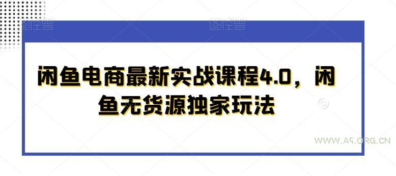 闲鱼电商最新实战课程4.0，闲鱼无货源独家玩法