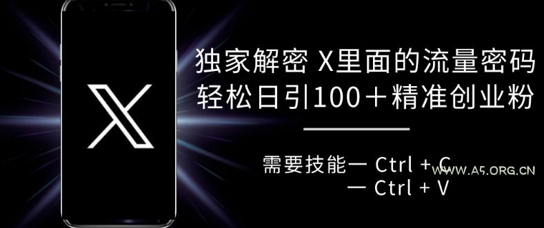 独家解密 X 里面的流量密码，复制粘贴轻松日引100+