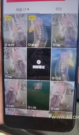 外面卖399的国学佛像原创暴力起号技术,快速起号,7天可达到一个万粉号