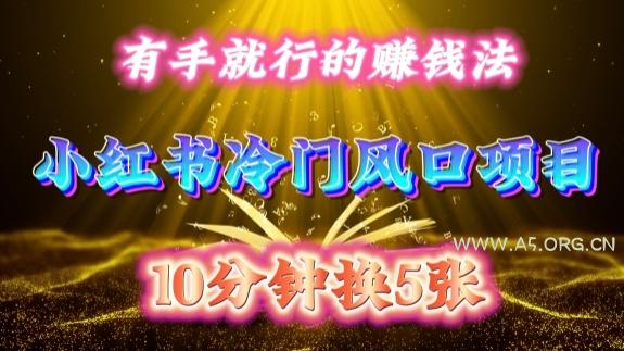 每天 10 分钟，小红书冷门风口项目开启，有手就行的搬运赚钱法，小白日入500 +【揭秘】