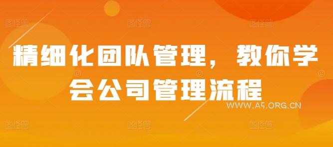 精细化团队管理，教你学会公司管理流程