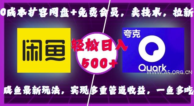 0成本扩容网盘+免费会员，卖技术，拉新，咸鱼最新玩法，实现多重管道收益，一鱼多吃，轻松日入500+