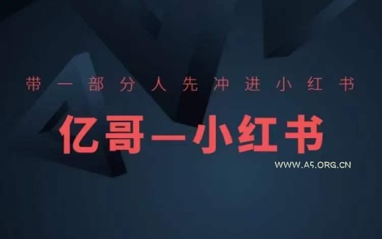 带一部分人先冲进小红书,小红书开店、选品、爆款裂变