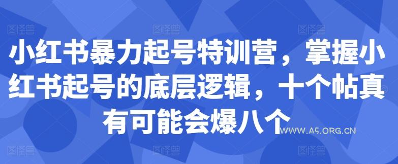 小红书暴力起号特训营,掌握小红书起号的底层逻辑,十个帖真有可能会爆八个