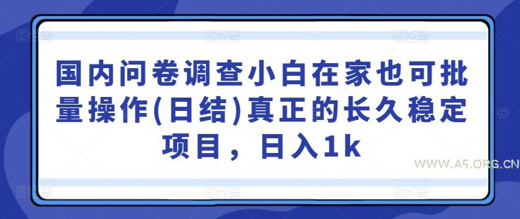 国内问卷调查小白在家也可批量操作(日结)真正的长久稳定项目，日入1k【揭秘】