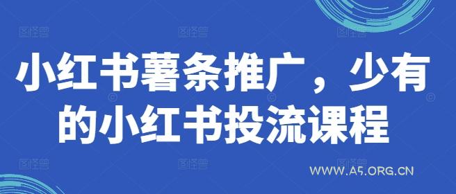 小红书薯条推广，少有的小红书投流课程