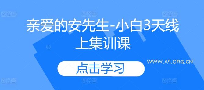 亲爱的安先生-小白3天线上集训课