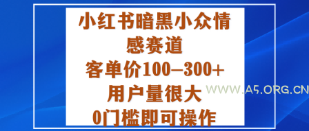 小红书暗黑小众情感赛道，客单价100-300+用户量很大，0门槛即可操作