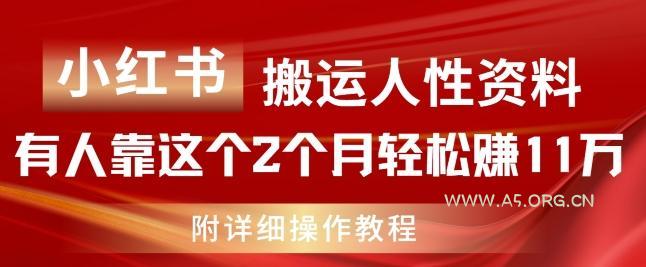 小红书搬运人性资料，有人靠这个2个月轻松赚11w，附教程【揭秘】