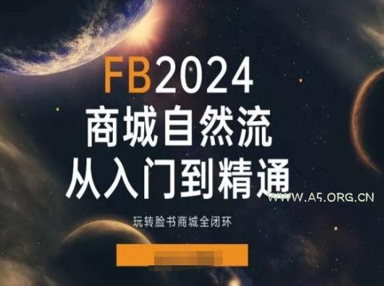 2024Faceboo商城自然流(从入门到精通),玩转脸书商城全闭环