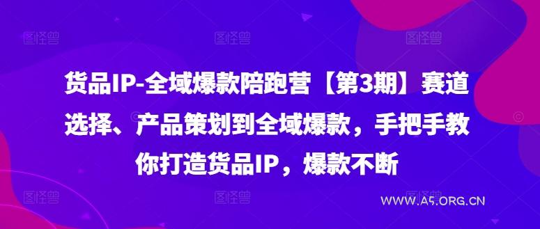 货品IP全域爆款陪跑营【第3期】赛道选择、产品策划到全域爆款，手把手教你打造货品IP，爆款不断