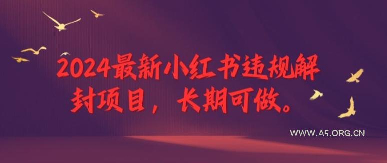 2024最新小红书违规解封项目，长期可做，一个可以做到退休的项目【揭秘】