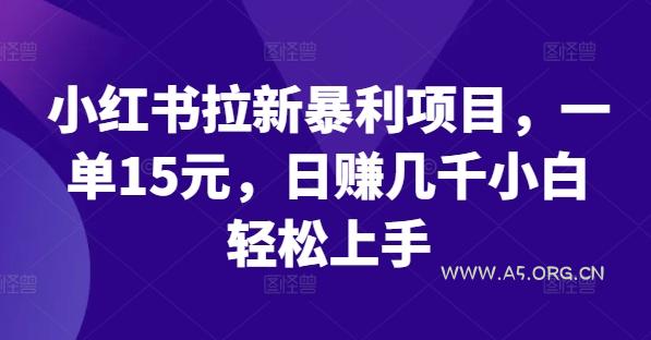小红书拉新暴利项目，一单15元，日赚几千小白轻松上手【揭秘】