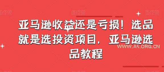 亚马逊收益还是亏损！选品就是选投资项目，亚马逊选品教程