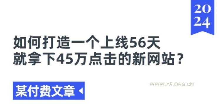 某付费文章《如何打造一个上线56天就拿下45万点击的新网站?》