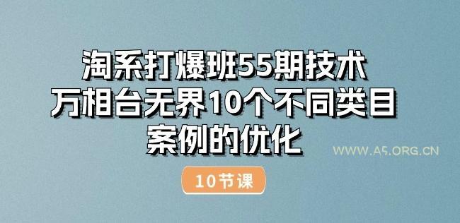 淘系打爆班55期技术：万相台无界10个不同类目案例的优化(10节)