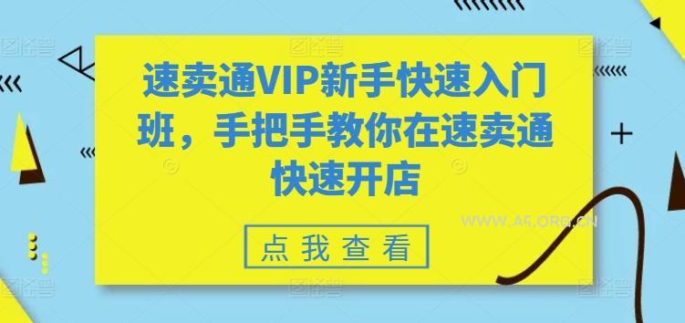 速卖通VIP新手快速入门班,手把手教你在速卖通快速开店