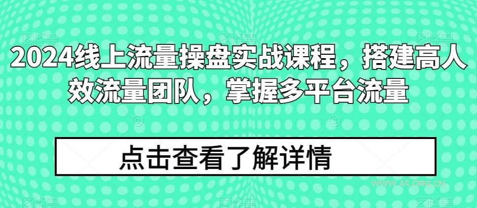 2024线上流量操盘实战课程，搭建高人效流量团队，掌握多平台流量