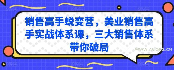 销售高手蜕变营，美业销售高手实战体系课，三大销售体系带你破局