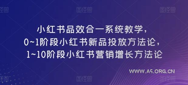 小红书品效合一系统教学,0~1阶段小红书新品投放方法论,1~10阶段小红书营销增长方法论
