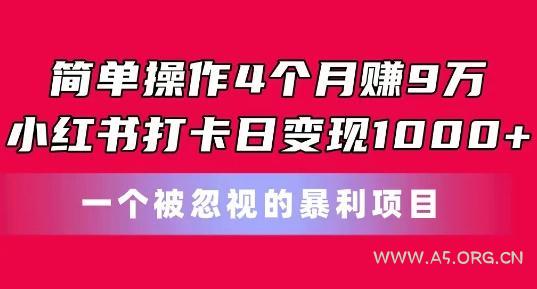 简单操作4个月赚9w,小红书打卡日变现1k,一个被忽视的暴力项目【揭秘】