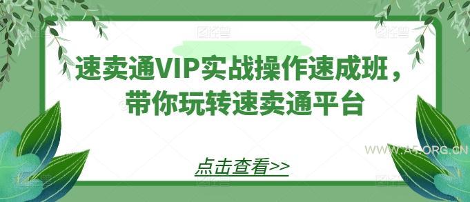 速卖通VIP实战操作速成班，带你玩转速卖通平台