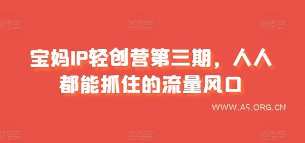 宝妈IP轻创营第三期，人人都能抓住的流量风口
